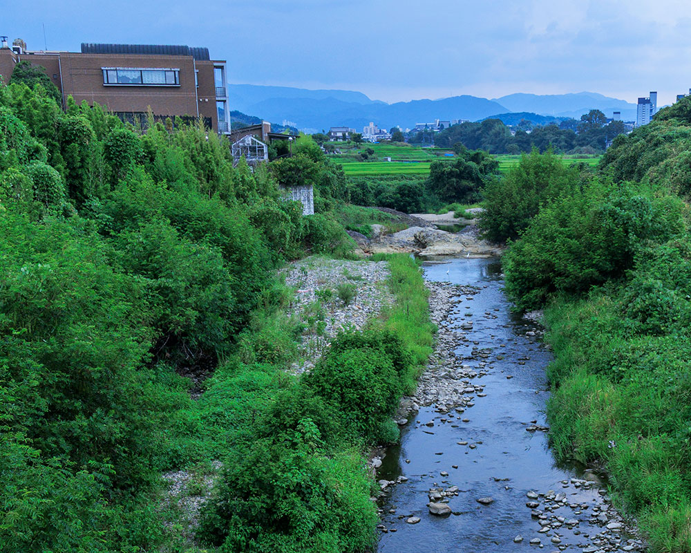 まこも栽培地の側を流れる川